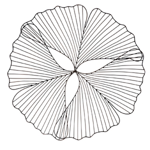 Leaf wire platter, €34