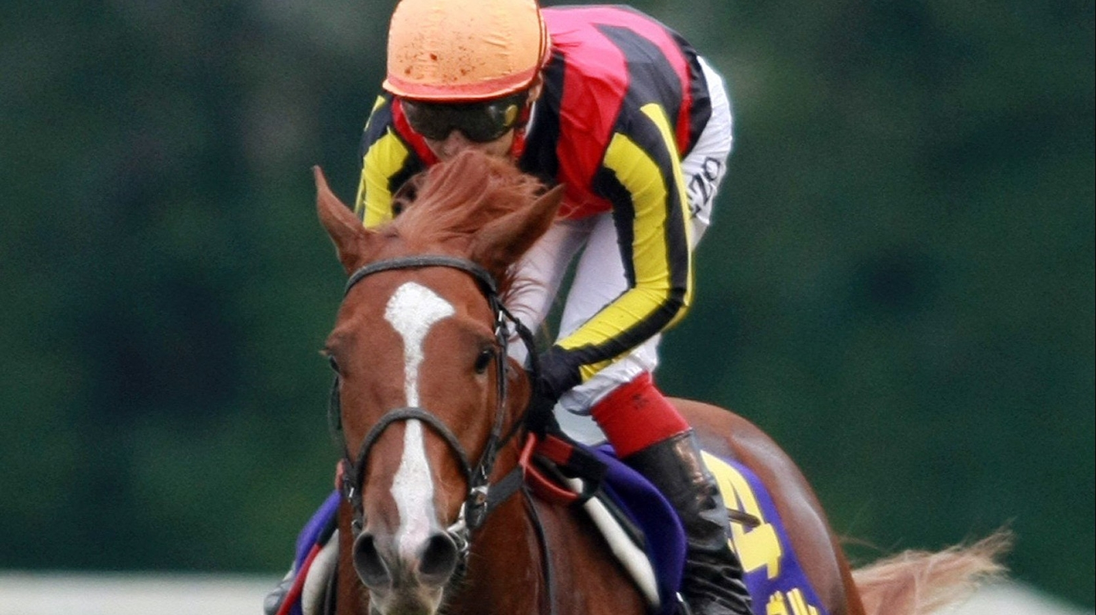 Trials for Arc take shape