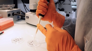 Hundreds of clinics around the world are offering therapies that claim to offer the transplantation of stem cells