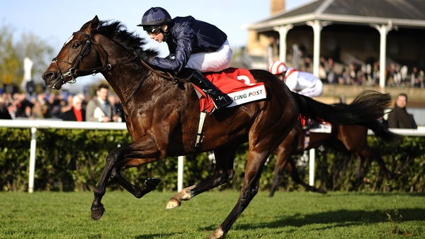 Kingsbarns was a comfortable winner of the Racing Post Trophy on just his second start at the end of last season