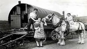 Treasure trove of stories celebrating Irish Traveller culture launched