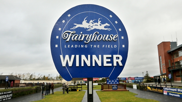 Sole Witness may be sent to Fairyhouse for the Irish Grand National