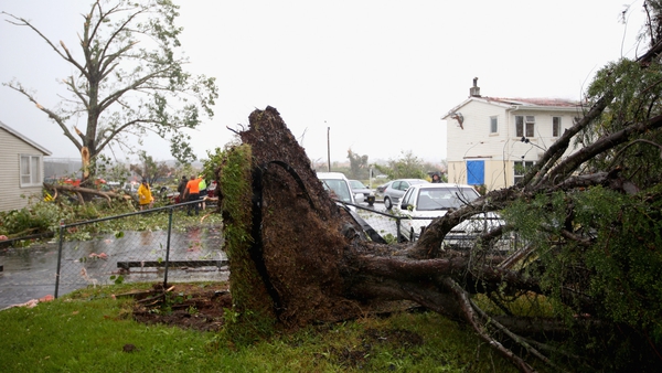 The tornado ripped up trees in the western suburbs of Auckland