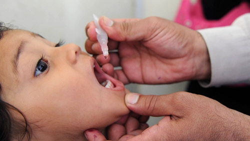 Victims worked with a UN-backed programme to eradicate polio