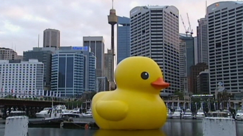A very large yellow plastic duck sails serenely into Sydney. At least, we think it's yellow