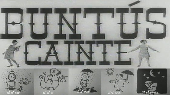 Buntus Cainte 1967