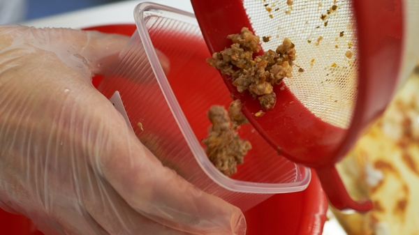 Birds Eye said tests showed horse DNA in a product produced by a Belgian company