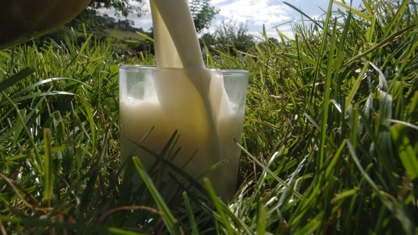 EU milk quotas ended at midnight