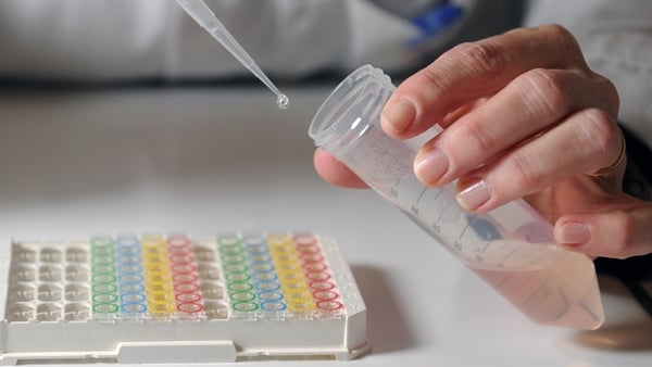 The Dutch food authority said there was no immediate suggestion of any danger to human health