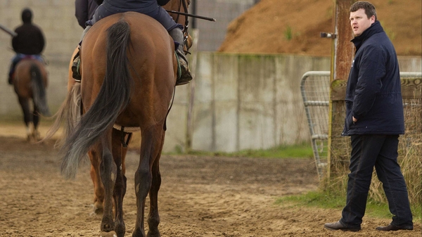 Gordon Elliott's Halling's Treasure is in action