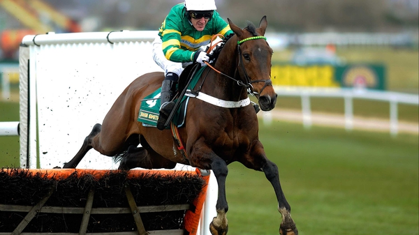 My Tent or Yours is one of the market leaders for the Stan James Champion Hurdle at Cheltenham in March