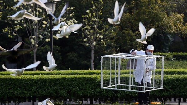 A health official sets a pigeon trap in a park in Shanghai
