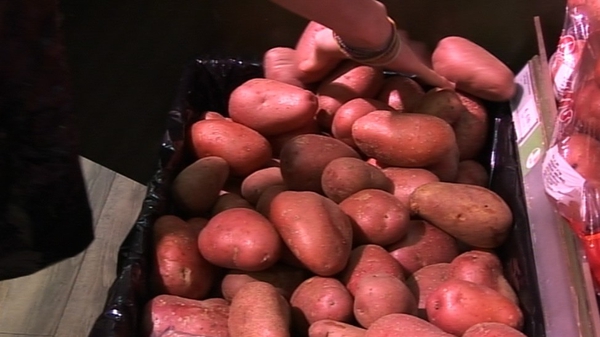 Donegal Investment Group sees a reduction in demand for certified seed potatoes across Europe