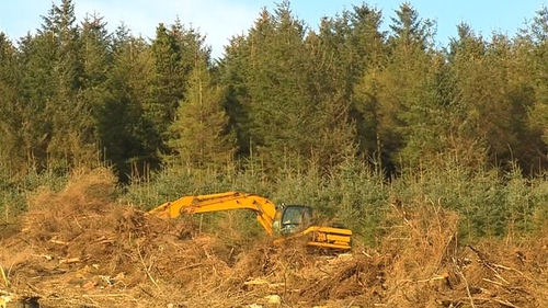 Coillte said it is 'working to regain trust' of landowners who entered into farm-forest partnerships