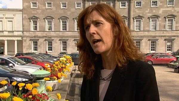 Michelle Mulherin said she accepted suicide would not be removed as a reason for permitting an abortion
