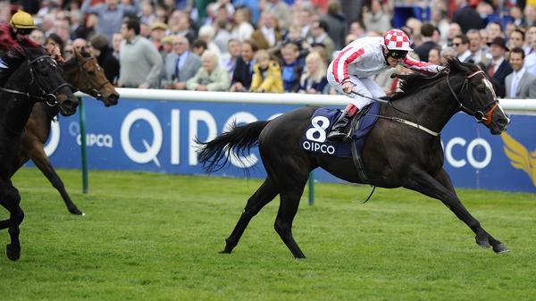 Sole Power is a two-time Group One winner