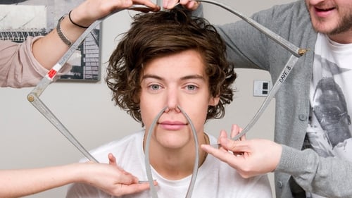New Harry prototypes are not being made to replace the wild man of teen pop