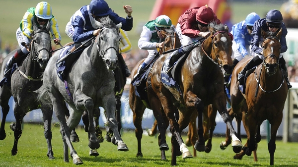 Just The Judge (maroon silks) was headed by Sky Lantern in the dying strides of the English renewal of the 1,000 Guineas at Newmarket