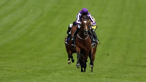Joseph O'Brien pushes St Nicholas Abbey clear in the closing stages