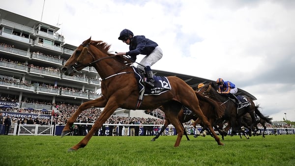 Ruler Of The World has failed to win in his five starts since taking last year's Derby