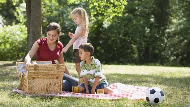 picnic