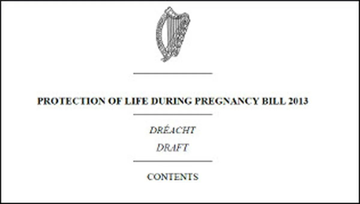 Protection of Life During Pregnancy Act - fit for purpose ? | Drivetime -  RTÉ Radio 1