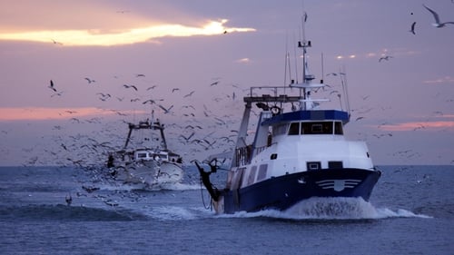 MEPs are seeking to allow the renewal of fisheries fleets where boats are more than 35 years old