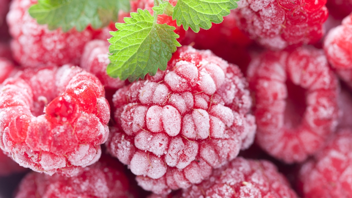 Hepatitis scare leads to boil notice for frozen berries Morning