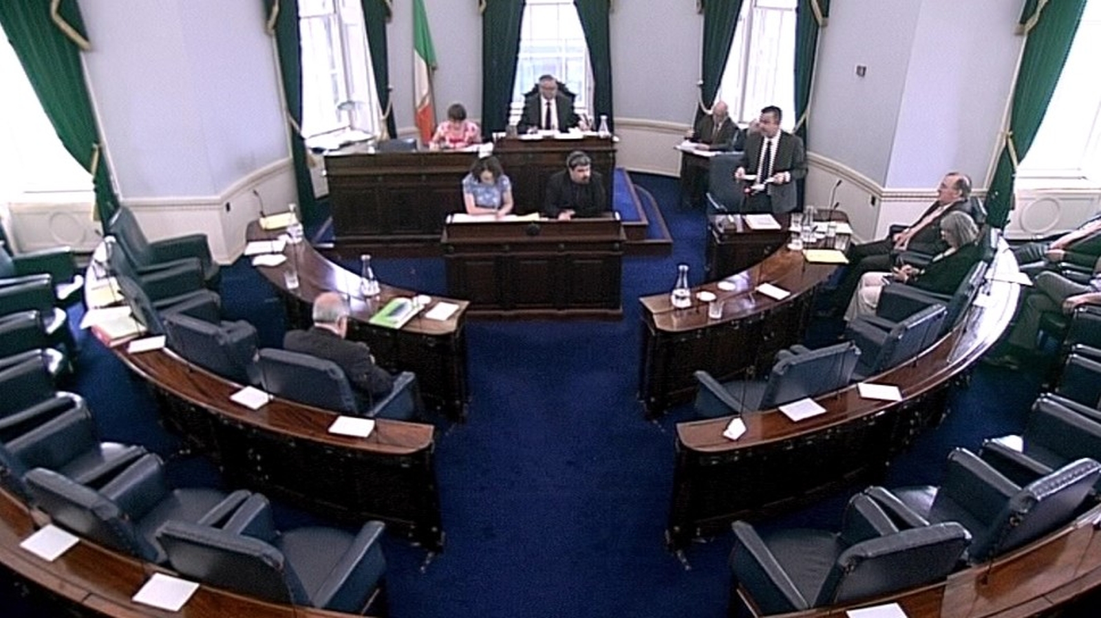 New group starts campaign to save Seanad