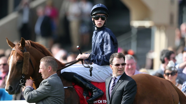 Ruler Of The World is favourite for Saturday's World Cup in Dubai