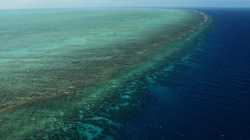 The US Navy will search the Great Barrier Reef after it dropped unarmed bombs on the marine park