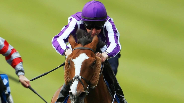 Leading Light put on impressive show to win the St Leger at Doncaster last month