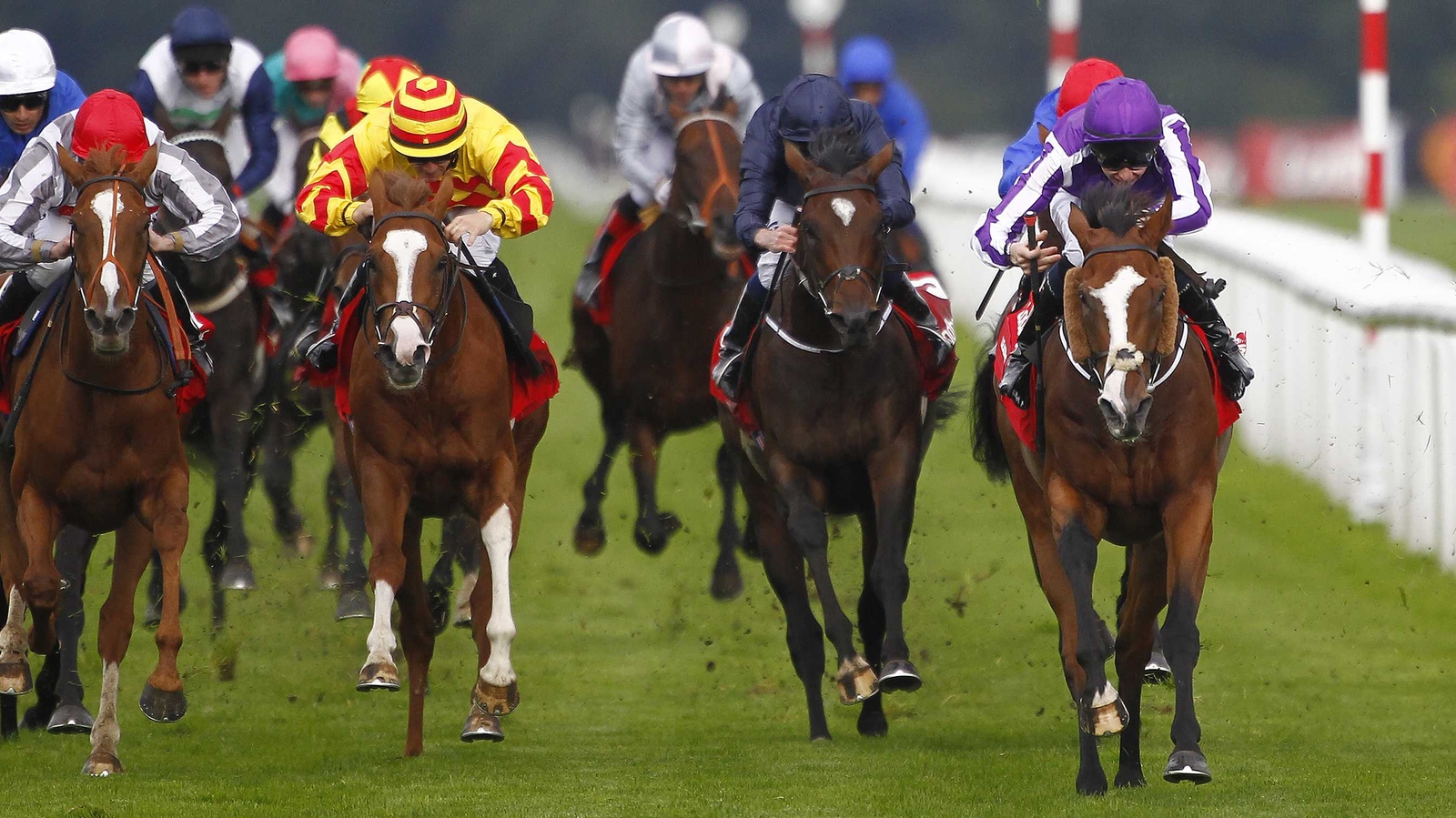 Leading Light among four O'Brien horses for Arc