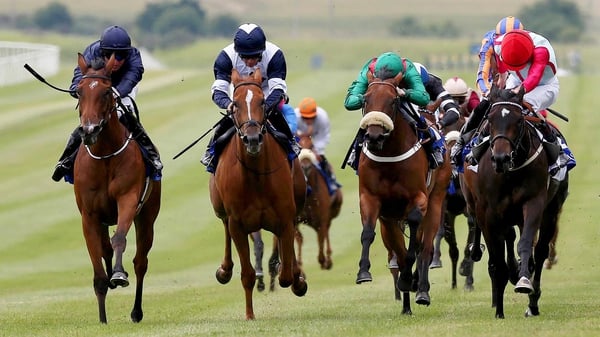 The first race at Downpatrick gets under way at 3.20pm