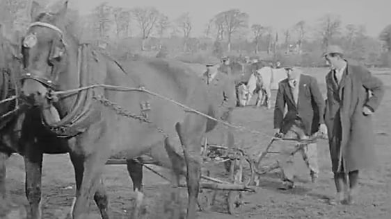 National Ploughing Championships 1961