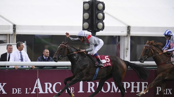 Will Treve deliver a lights-out performance in today's feature race at Royal Ascot?