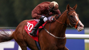 Top Notch Tonto tries Group One company for the first time on Saturday