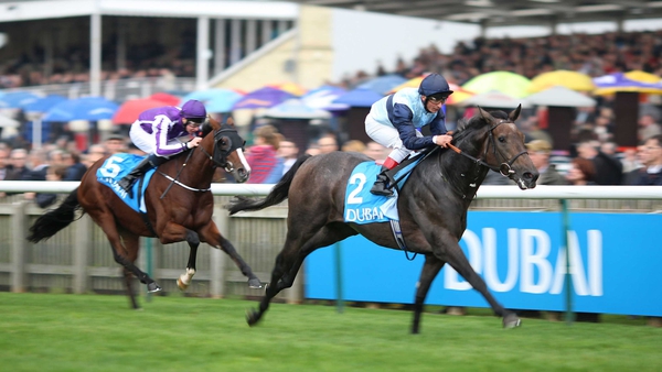 Kingston Hill won over a mile at the first attempt in the Autumn Stakes at Newmarket earlier this month
