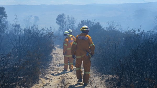 Firefighters struggle with strong winds as they survey fire damage at Mount York