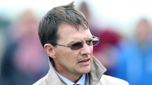 Aidan O'Brien's Shield looks set to make an impact at Dundalk