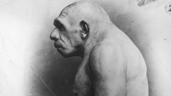 A model of a Neanderthal man constructed on the basis of excavated bones, at the Field Museum of Natural History in Chicago