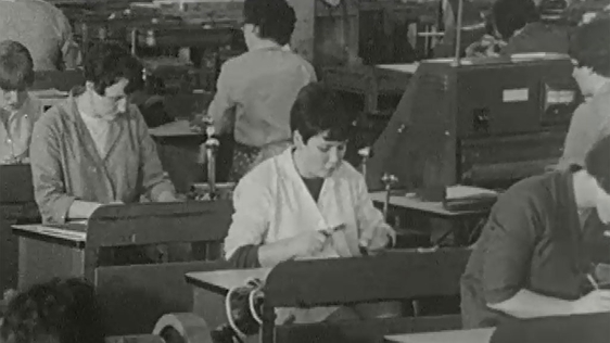 Women in the Work Place (1968)
