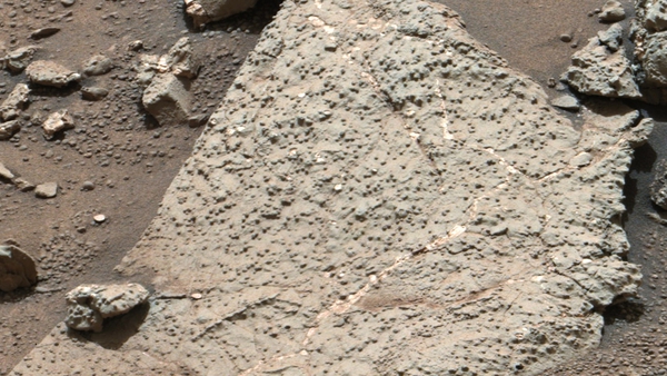 Mudstones from Gale Crater were analysed