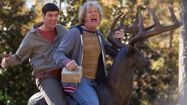 Dumb and Dumber To is due for release in Ireland this December