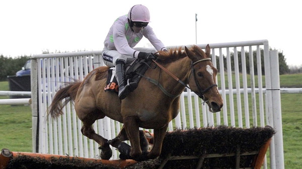 Annie Power suffered the only defeat of her 12-race career when runner-up to More Of That in last season's World Hurdle at the Cheltenham Festival