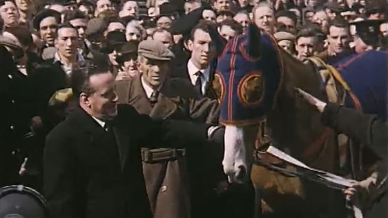 Royal Tan Paraded Through Dublin 1954