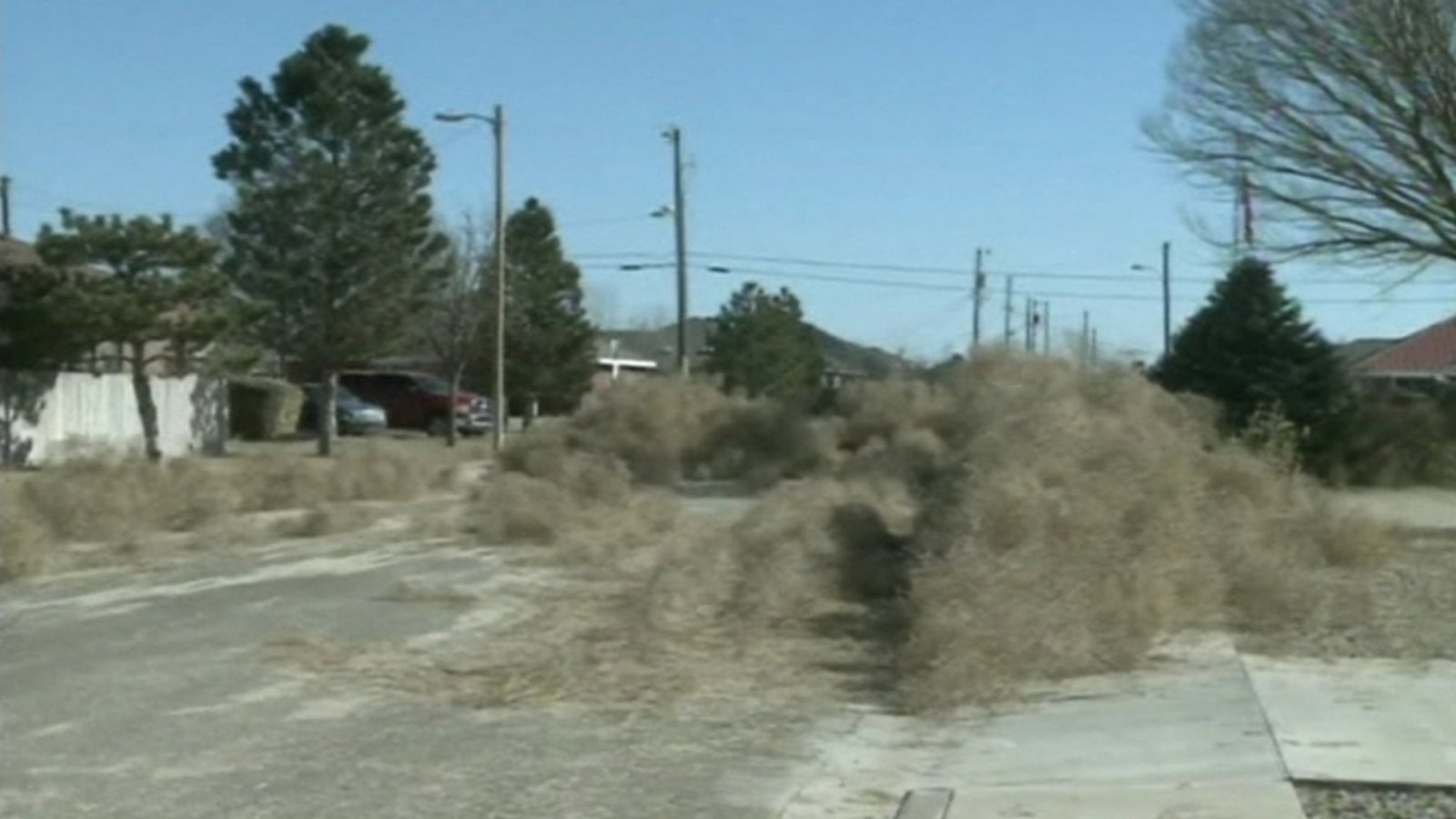 Tumbleweed 'invasion' takes over Texas town, photos show