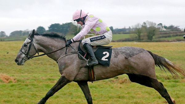 Ballycasey is one of three runners for Willie Mullins in the Growise Champion Novice Chase