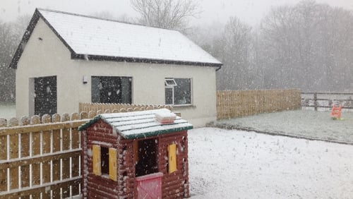 Snow falling in Mullingar, Co Westmeath (Pic: Brian Collentine)