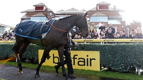 Sprinter Sacre parading at Newbury earlier this month